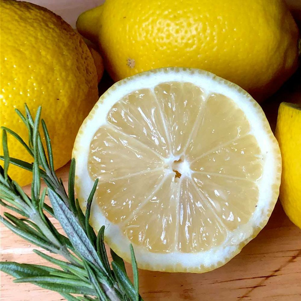 Jual Tanaman Buah Jeruk Lemon Montaji Agrihorti Tanpa Biji | Shopee ...