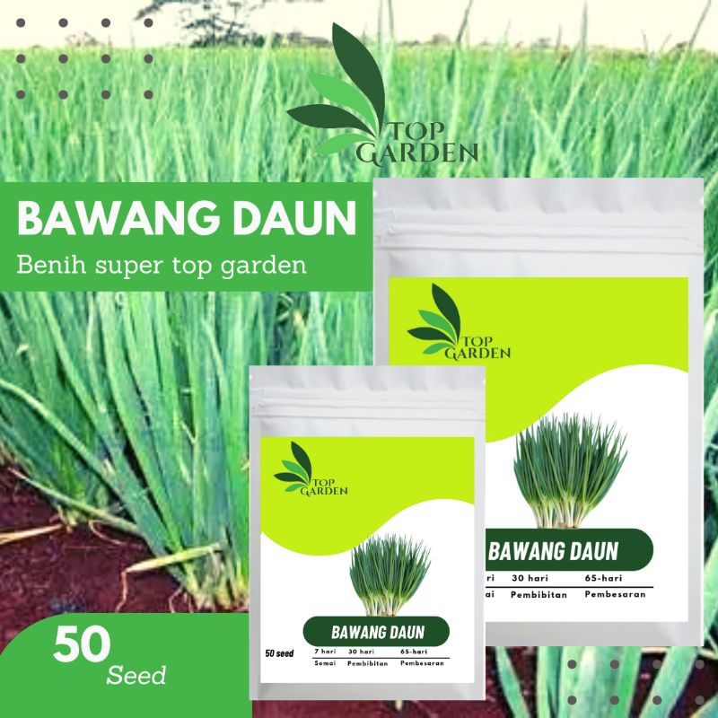 TOP GARDEN BENIH BAWANG DAUN BIBIT SUPER BENIH SAYURAN