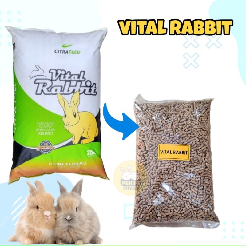 Jual Vital Rabbit 1 Kg - Pakan Kelinci Komplit - Makanan Kelinci ...