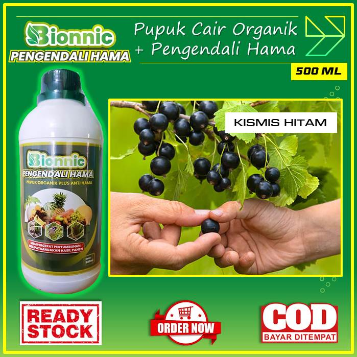 Jual Bionnic Pupuk Organik Cair Plus Anti Hama Pupuk Organik Kismis Hitam Pupuk Cair