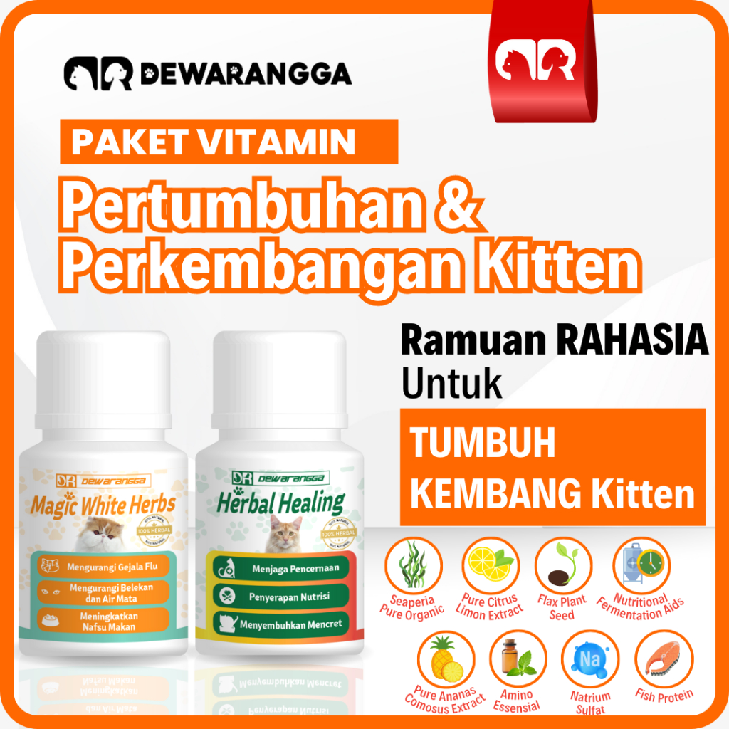 Jual Vitamin Kitten Pertumbuhan & Perkembangan Kitten Dewarangga
