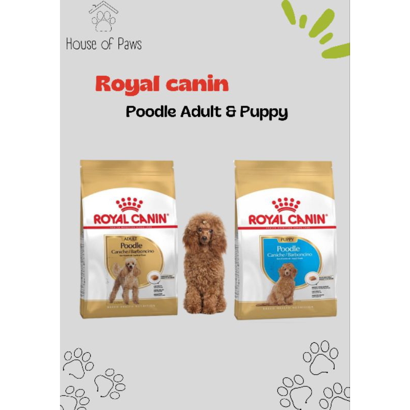 Jual Royal Canin Poodle Adult & Puppy 1,5kg & 3kg | Shopee Indonesia