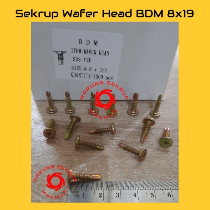 Jual Pcs Sekrup Roofing Wafer Head Sds X Bdm Cm Shopee Indonesia