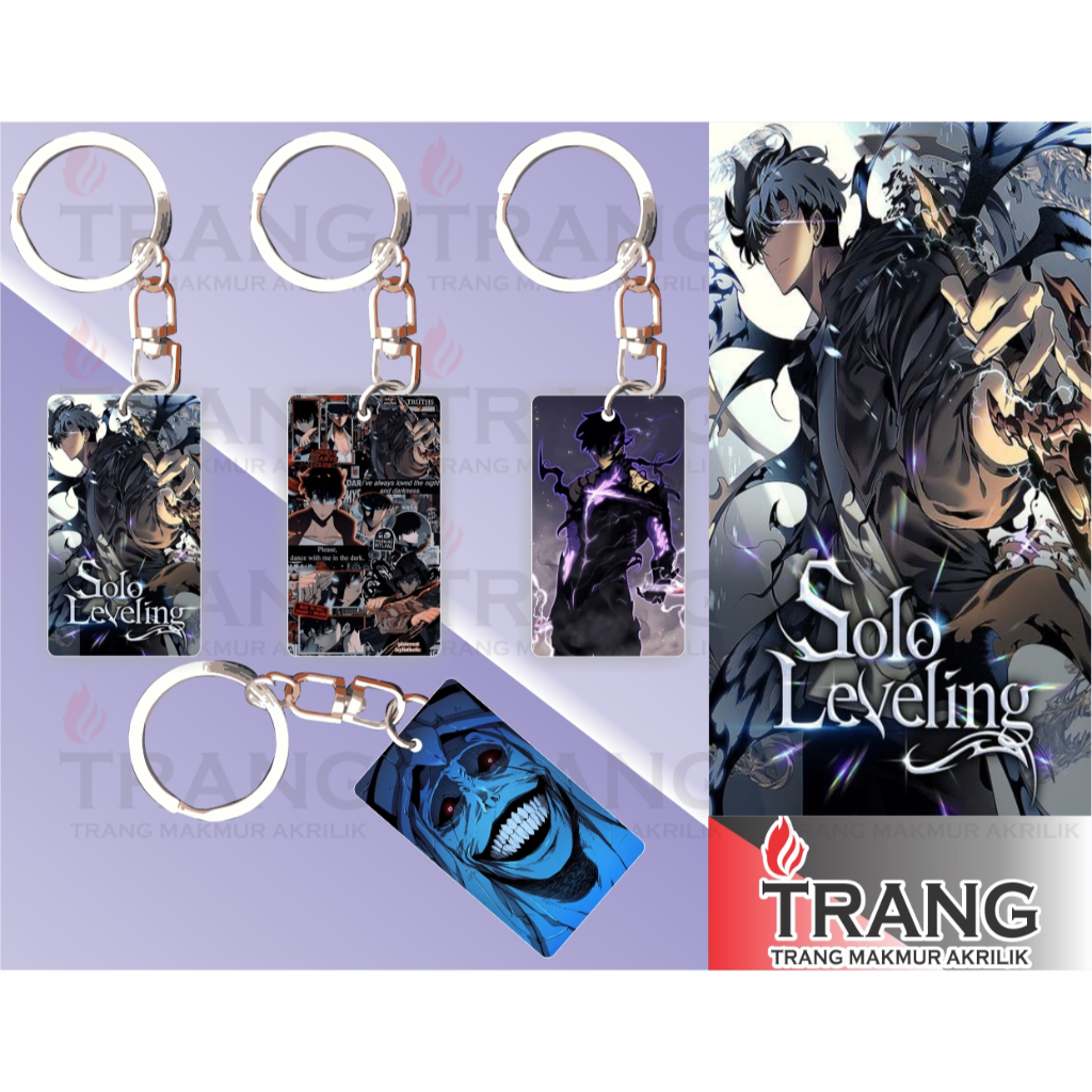 Solo Leveling Keychain Acrylic Keyholder 3 Pieces Set Sung Jin Woo