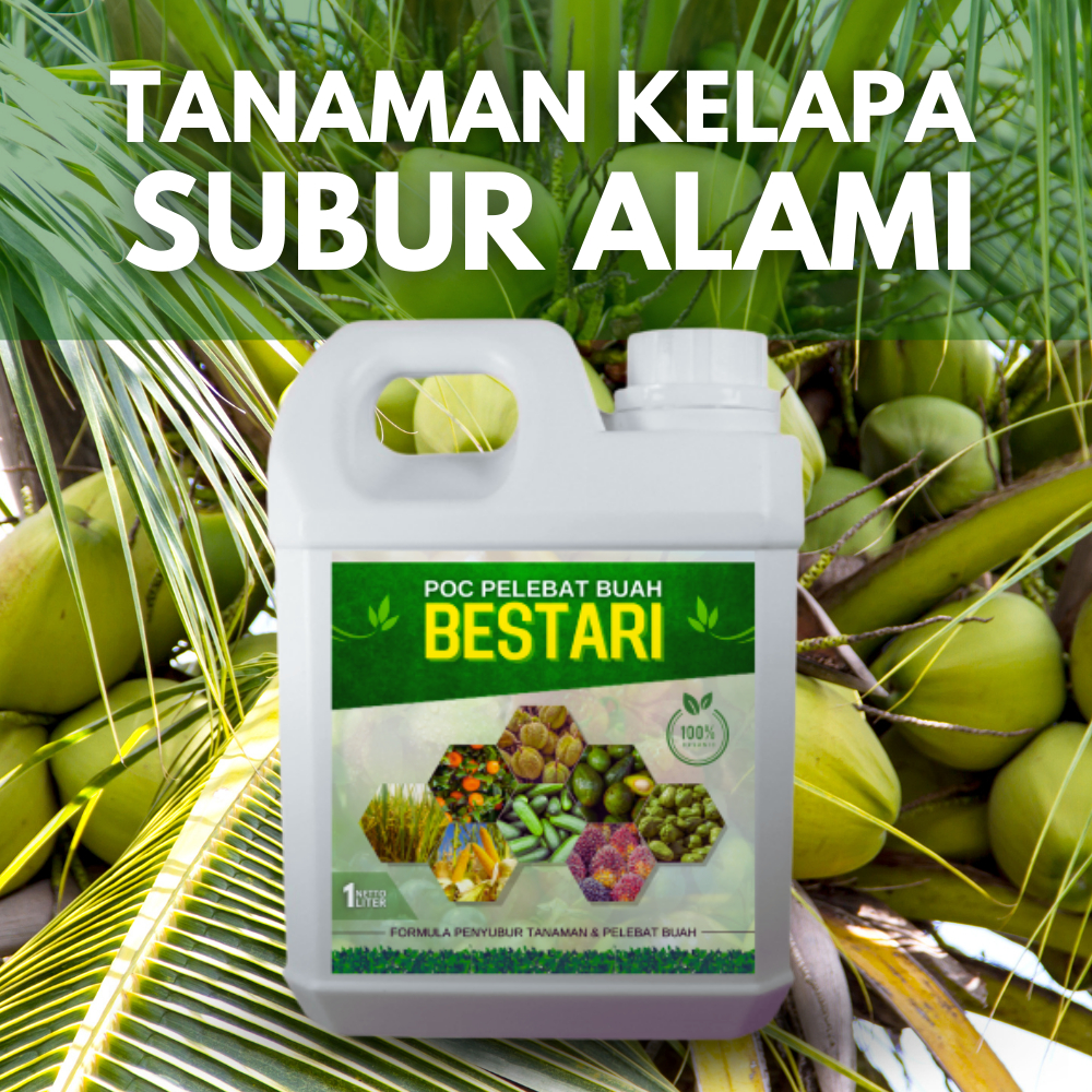 Jual Pupuk Perangsang Tunas Kelapa / Pupuk Pelebat Buah Kelapa Kopyor