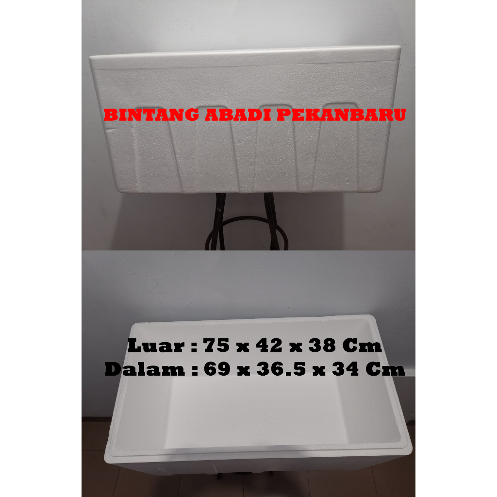 Jual Sterefoam Box Es Gabus Styrofoam 60 Liter / Box Ikan / Box Makanan
