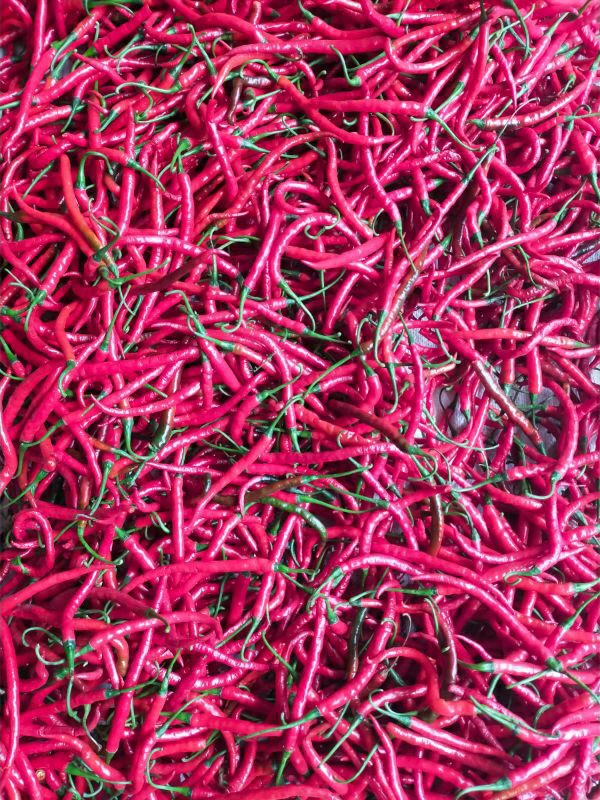 Jual CABE / CABAI MERAH KERITING 500GR SEGAR | Shopee Indonesia