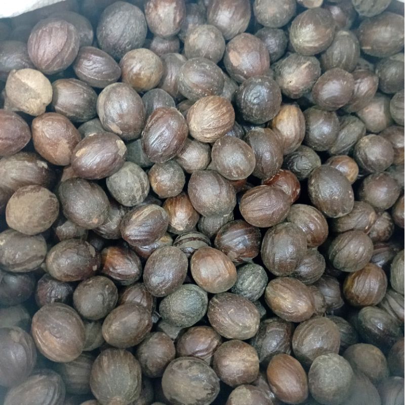 Jual Biji Pala Kering (100 Gram) | Shopee Indonesia