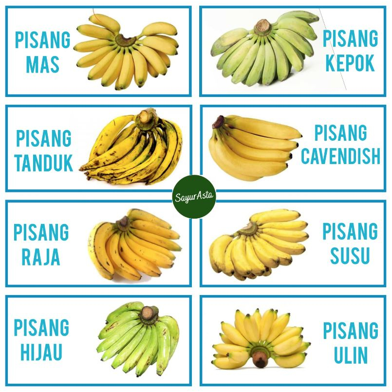 Jual PISANG KEPOK / PISANG MAS / PISANG ULIN / PISANG CAVENDISH / PISANG RAJA / PISANG SUSU