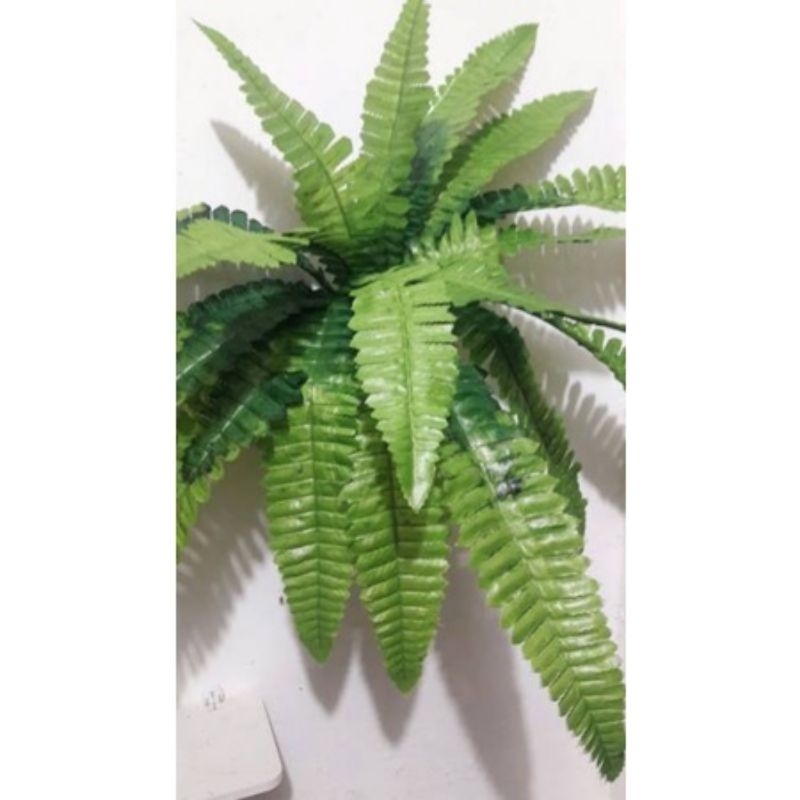 Jual daun pakis cabang 18 dan pot dinding hiasan rumah | Shopee Indonesia