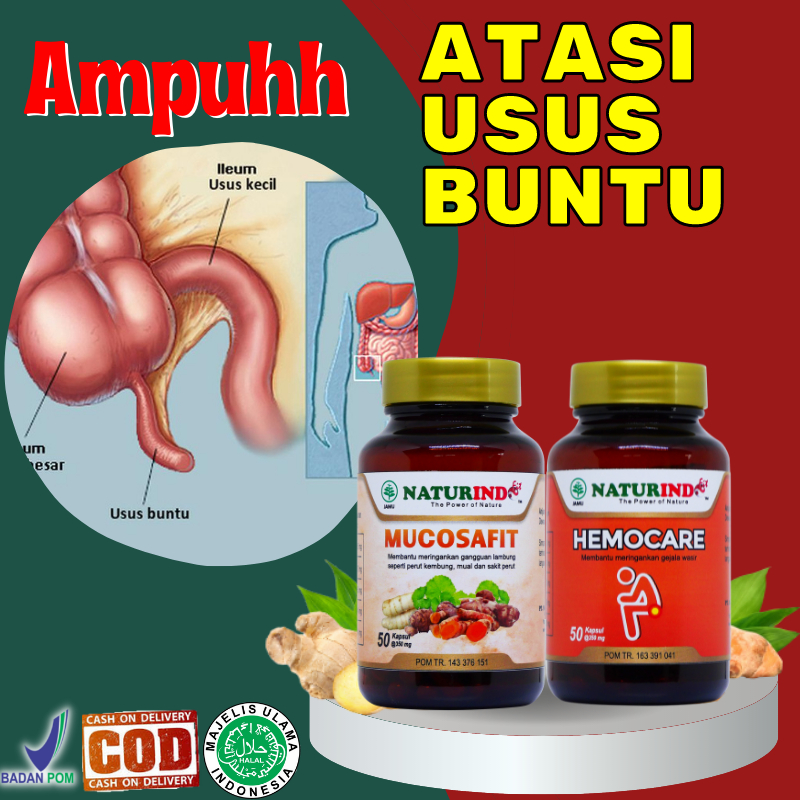 Jual Obat Herbal Tensi Tekanan Darah Rendah Hipotensi Hypotensi Sakit