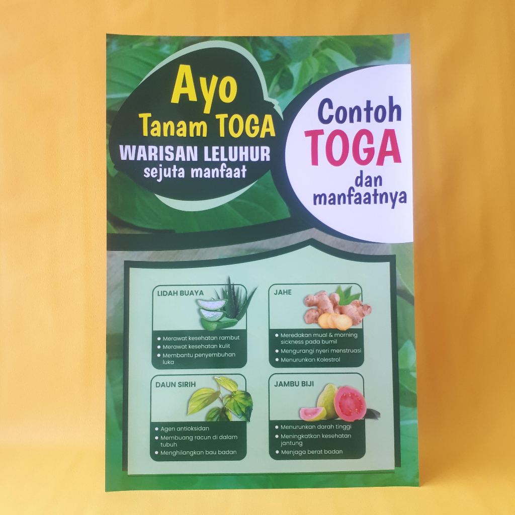 Jual Poster Obat Poster Ayo Tanam Toga Poster Tanaman Obat Keluarga Poster Kesehatan 4898