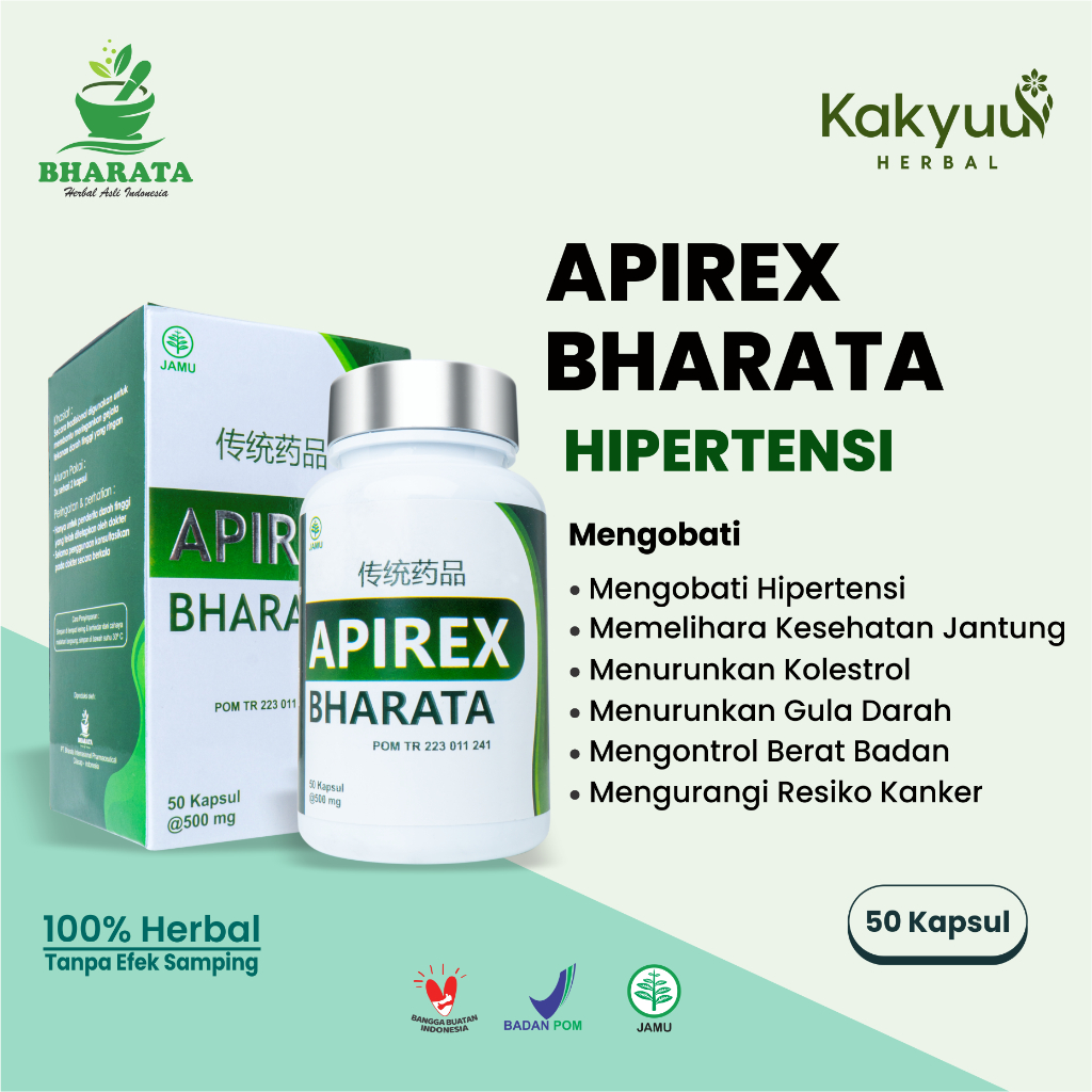 Jual Obat Hipertensi Darah Tinggi Vertigo Sakit Kepala Herbal