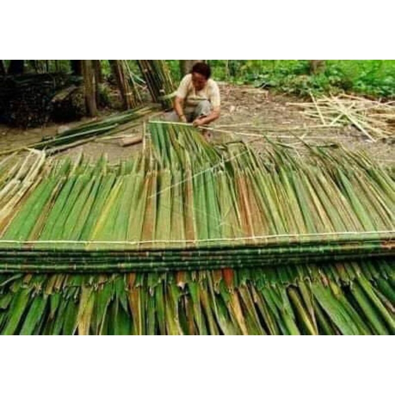 Jual 25 Lembar atap daun rumbia-atap dahon 25pcs | Shopee Indonesia
