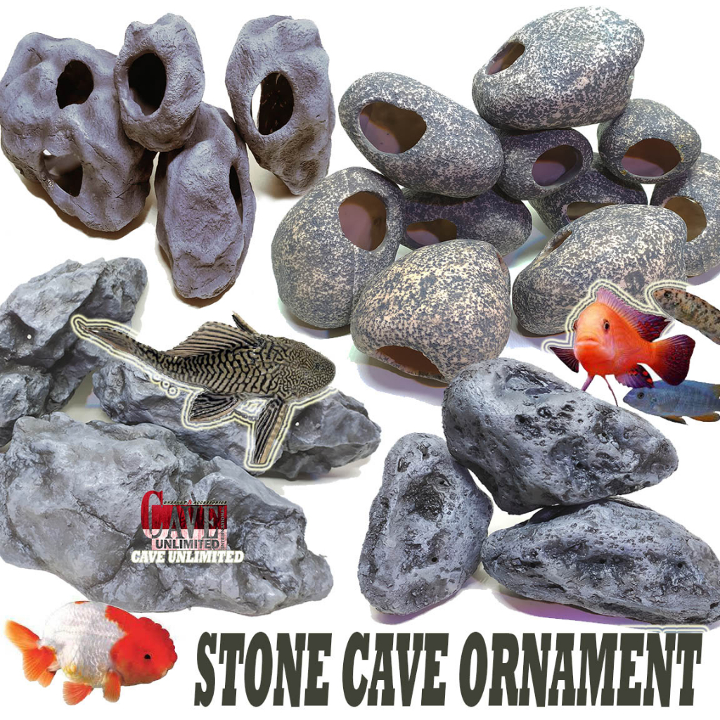 Jual ORNAMENTAL AQUARIUM IKAN HIAS FISH CAVE GOA BATU SARANG TEMPAT ...
