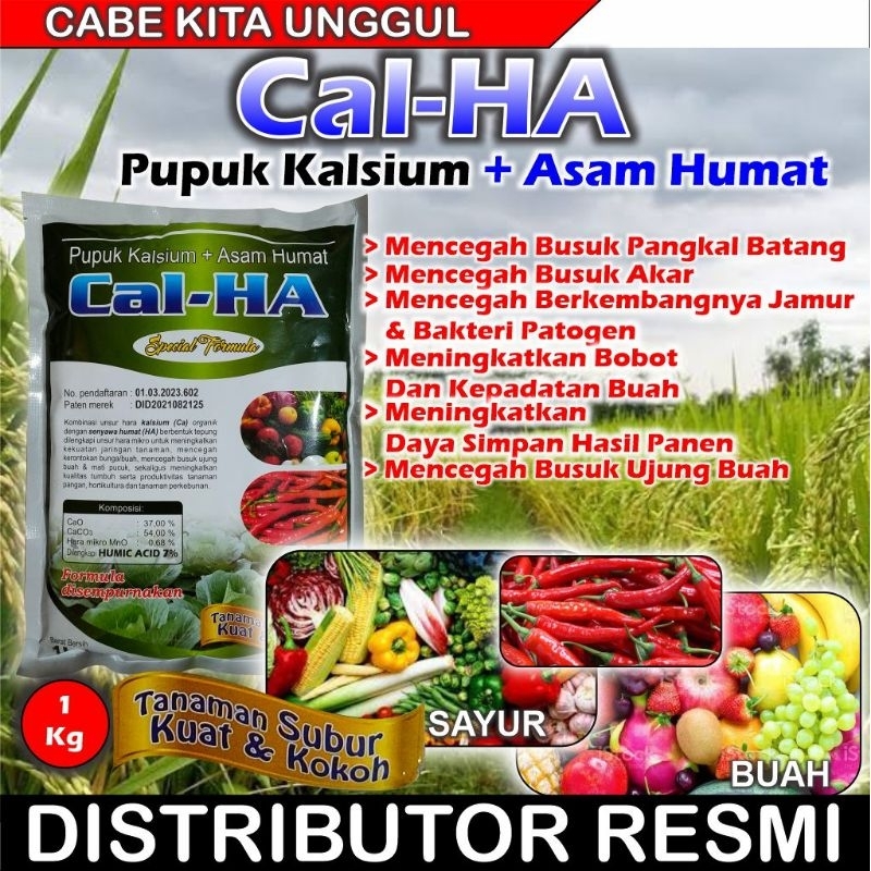 Jual PUPUK CAL-HA (KALSIUM + ASAM HUMAT SPECIAL FORMULA 1KG | Shopee ...