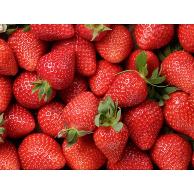 Jual strawbery frozen 1 kg | Shopee Indonesia
