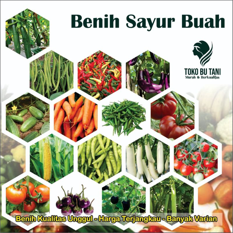 Jual Bibit Benih Sayur Timun Cabai Cabe Kacang Oyong Pare Terong Tomat ...