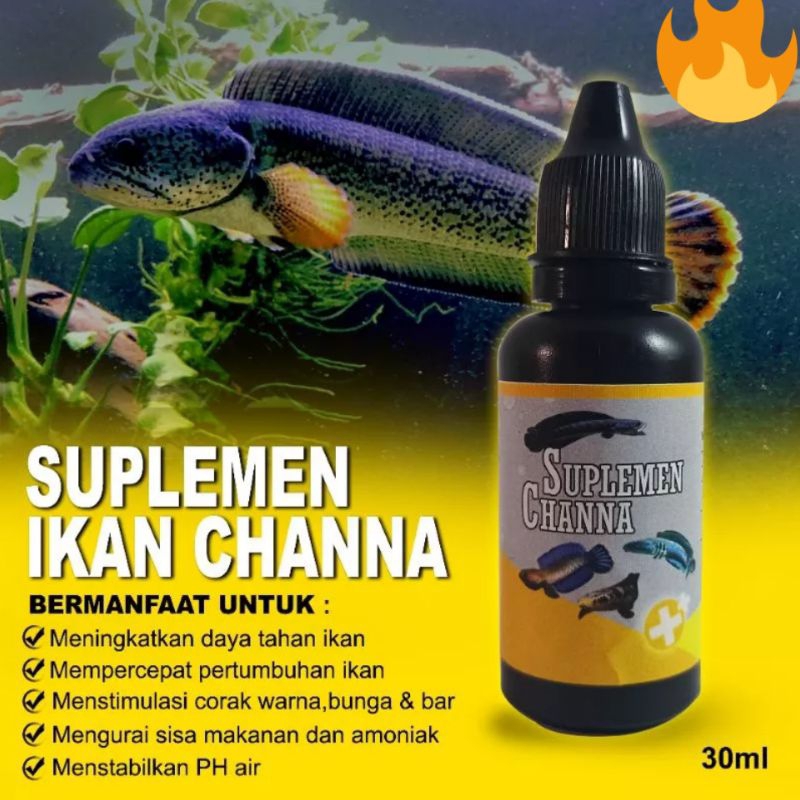 Jual Suplemen Ikan Chana Obat Probiotik Chana Mutasi Warna Mutasi