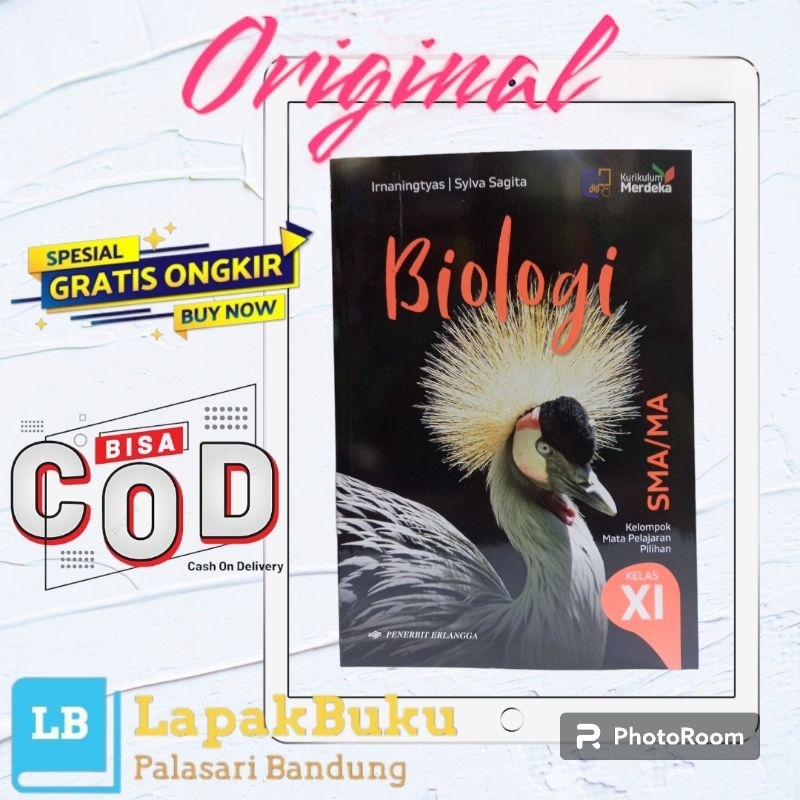 Jual Buku Biologi XI SMA Kelas 2 Kurikulum Merdeka Erlangga | Shopee ...