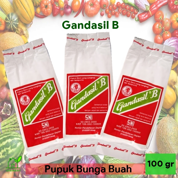 Jual Pupuk GANDASIL B 100 Gr - Pupuk Bunga Buah NPK Majemuk Fase ...