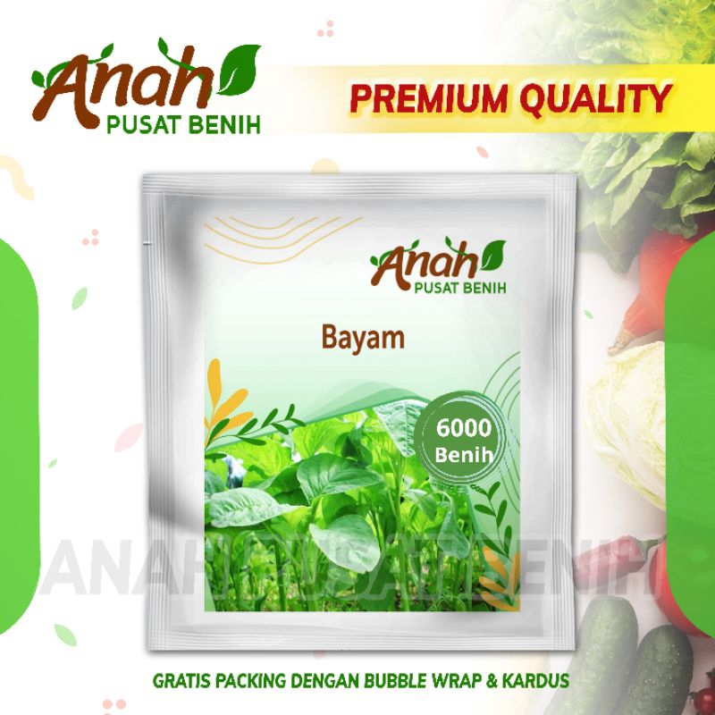 Jual Benih Sayuran Bayam Hijau Maestro Super Unggulan Bibit Sayuran