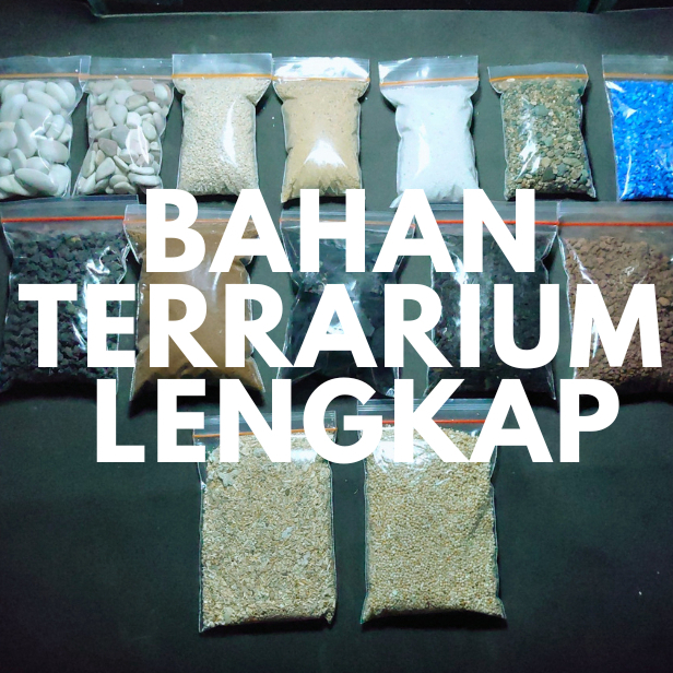 Jual BAHAN TERRARIUM LENGKAP PASIR BATU KAYU AKAR MEDIA TANAM TERARIUM KIT Shopee Indonesia