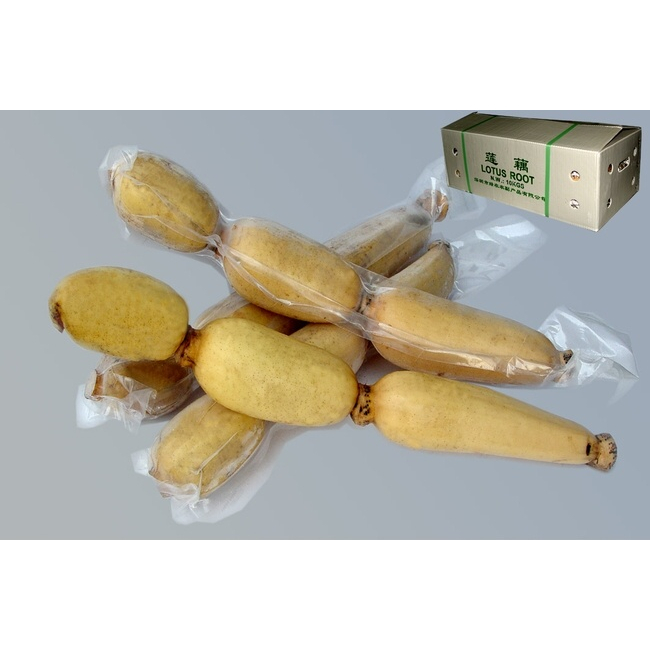 Jual Lotus Root | Shopee Indonesia