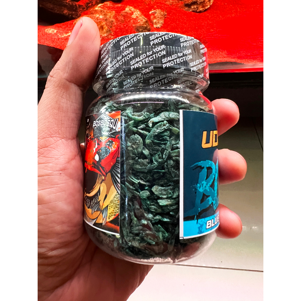 Jual UDANG BLUE BOS DAILY // WARNA BIRU MAKANAN HARIAN (BOS BOS QU ...