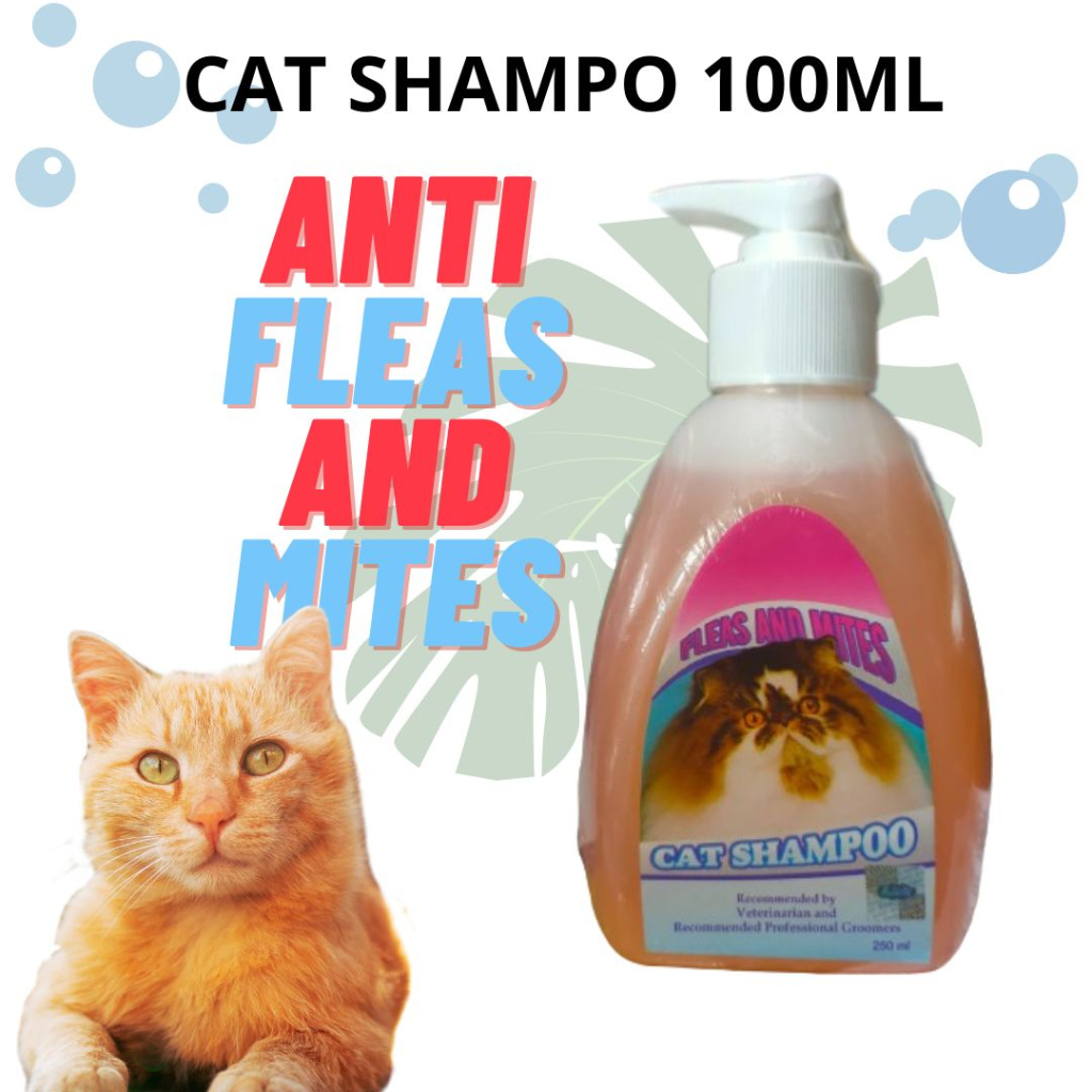 Jual AMPUH BASMI KUTU Shampo Kucing Anti Kutu / Fleas and mites Cat shampoo 250ml Shopee Indonesia