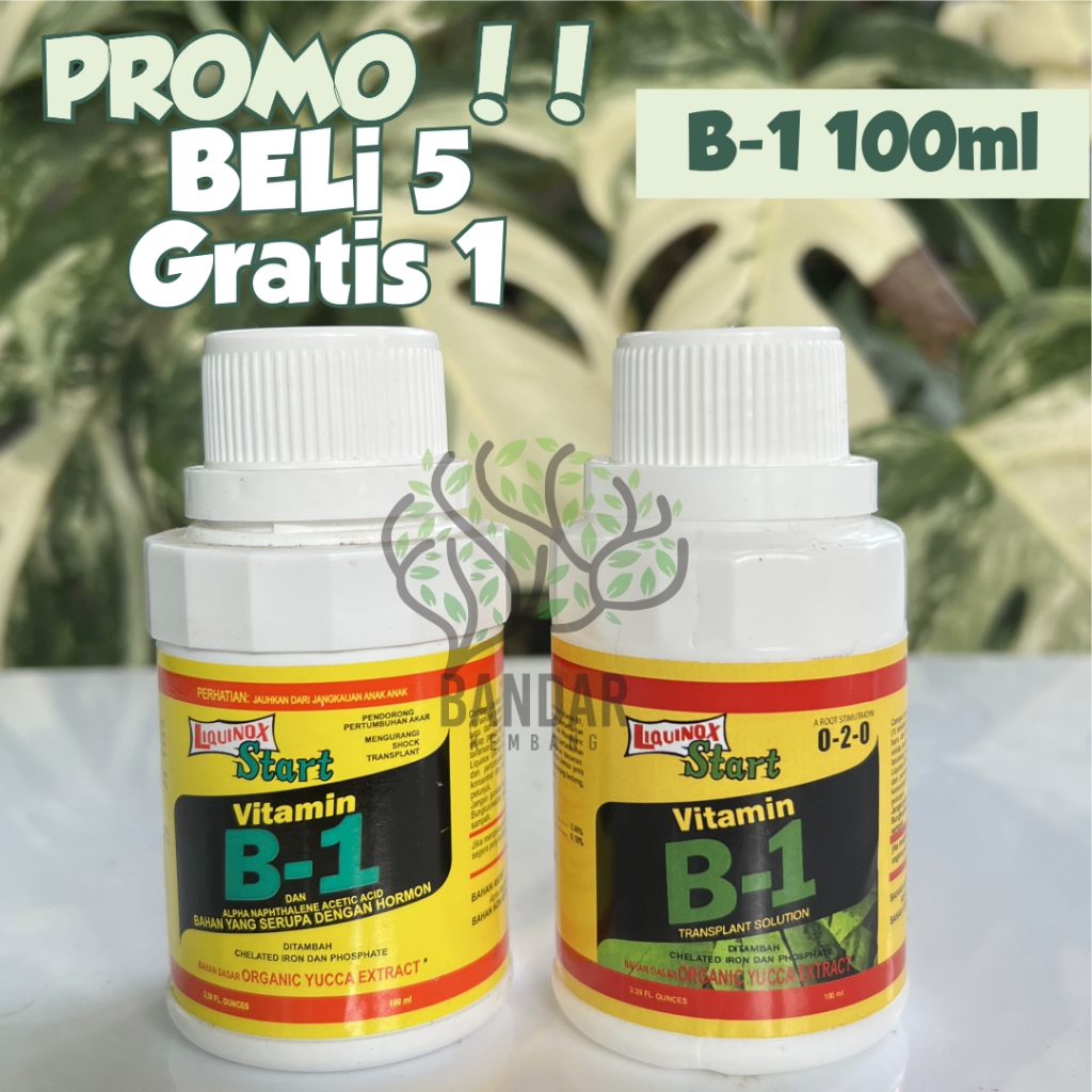 Jual Pupuk B1 Beli 5 Gratis 1 Liquinox Start Vitamin 100 Ml Pupuk ...