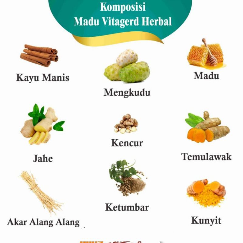 Jual Madu Vitagerd Herbal Obat Asam Lambung Gerd Maag Gelisah Radang ...