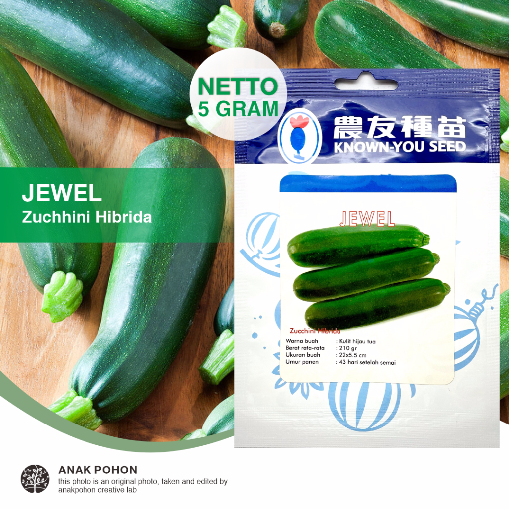 Jual (1 PACK - 5 GRAM) Benih Zucchini JEWEL Labu Zukini Hijau Courgette ...