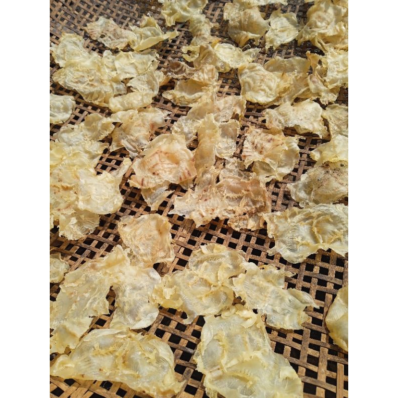 Jual Kerupuk Mentah Gelembung ikan Manyung Hipio Hopio Katak Ikan ...