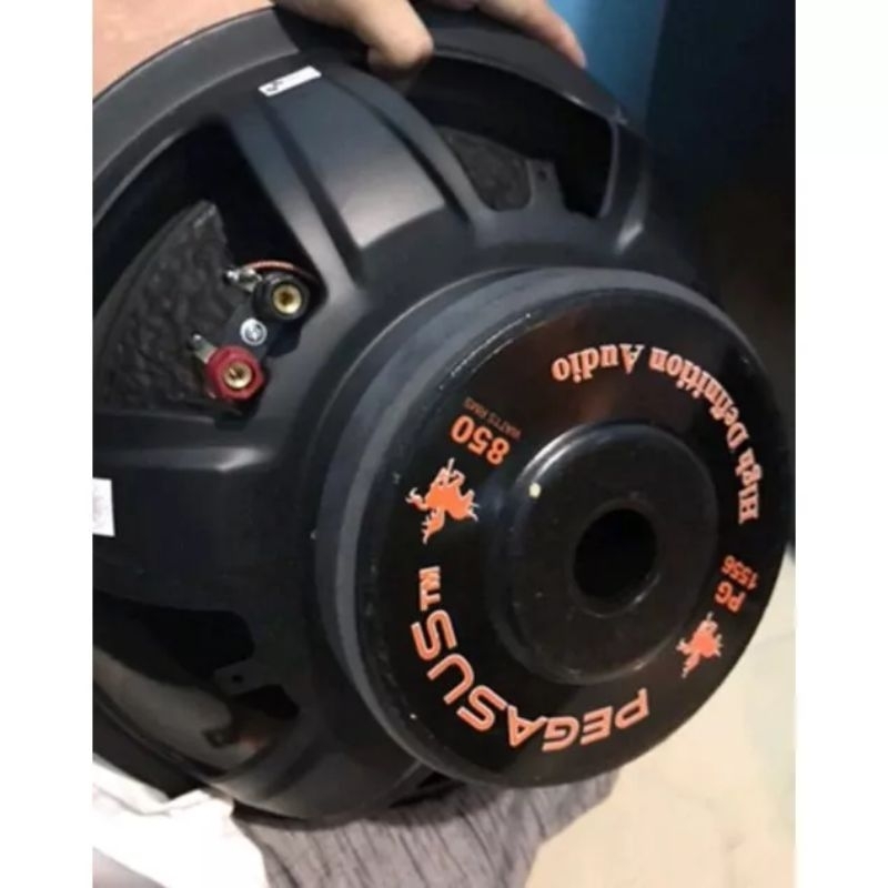 Jual speaker subwoofer 15 inch pegasus Shopee Indonesia