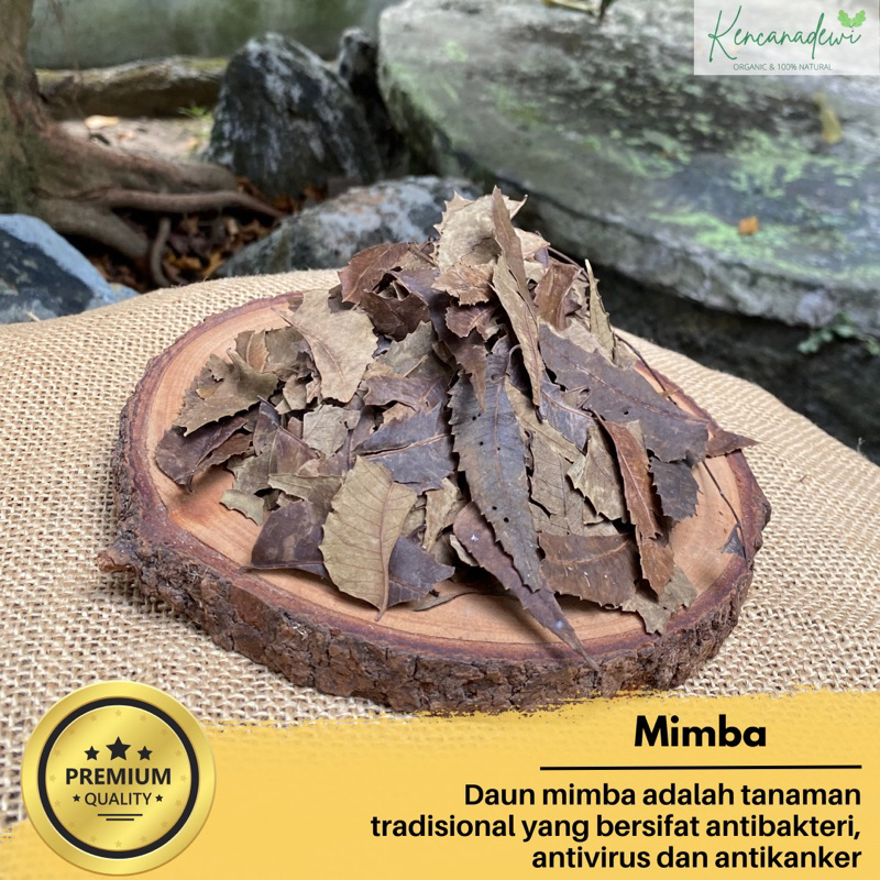 Jual DAUN MIMBA KERING-DAUN INTARAN-NEEM TREE ORIGINAL HERBAL | Shopee ...