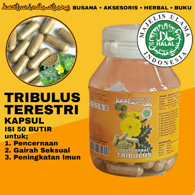 Jual Obat Herbal Kapsul Tribulus Ekstrak Tanaman Putri Malu Alami 50