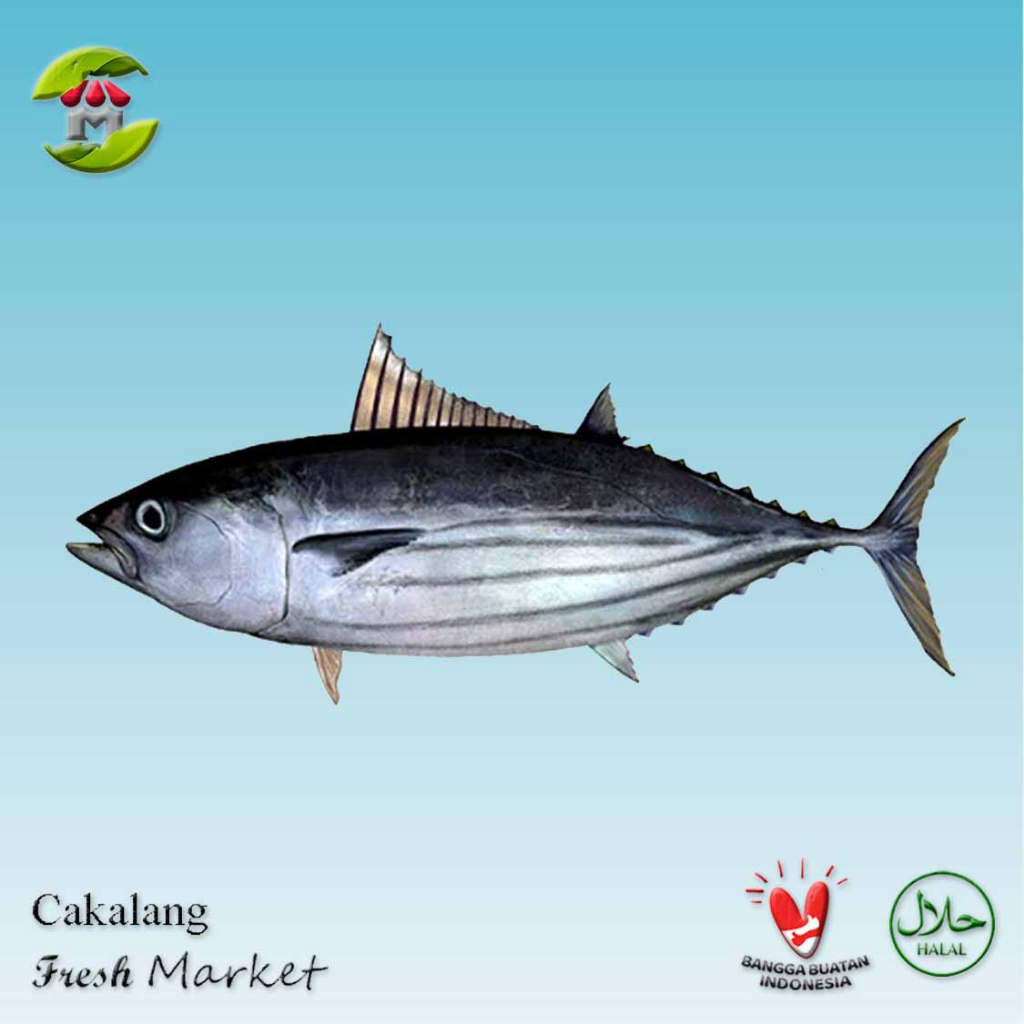 Jual [BOGOR] Ikan Cakalang Pack 900gr - 1kg | Shopee Indonesia