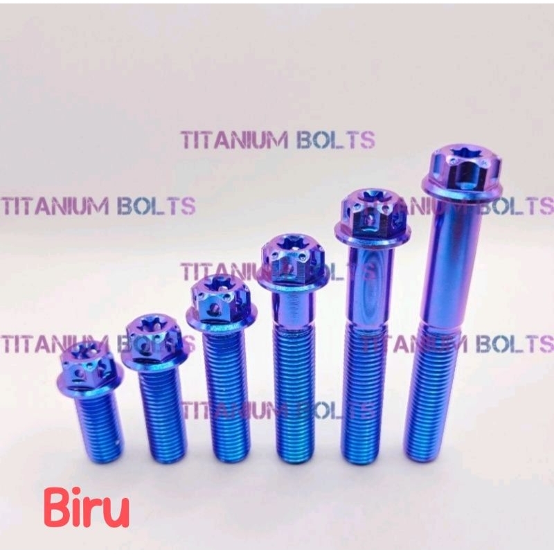 Jual Baut Titanium Blok Bak Mesin M X Drat Panjang Cm Original Titanium Gr Shopee Indonesia