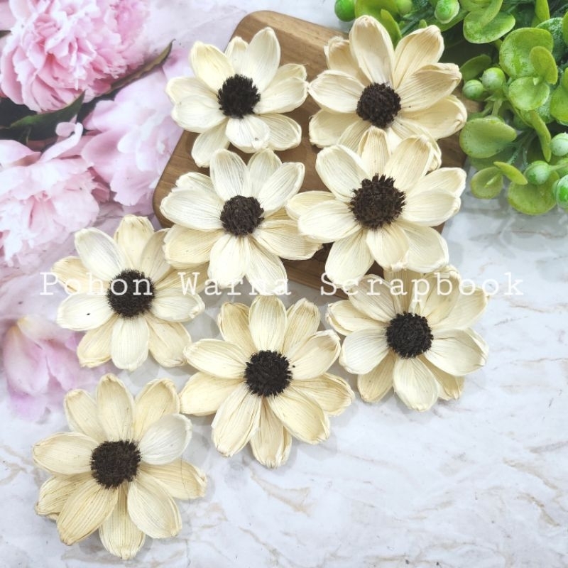 Jual Bunga Klobot Jagung Ceper 7CM | Shopee Indonesia