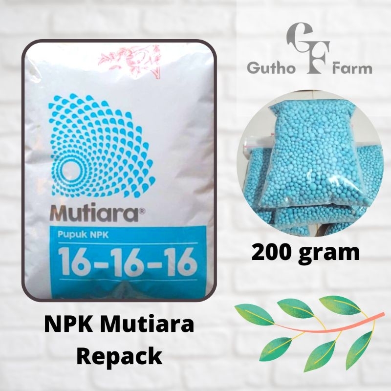 Pupuk Wajib NPK Mutiara Meroke 16 16 16 Repack 200 gram