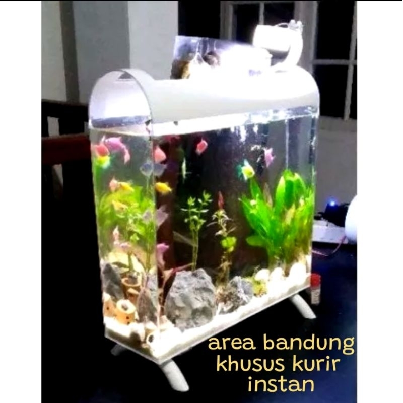 Jual Aquarium Akrilik Pvc Premium Jumbo Unik Shopee Indonesia