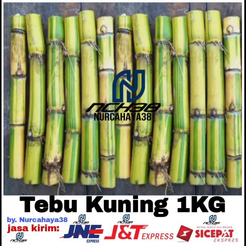 Jual Tebu Kuning 1kg Shopee Indonesia 9795