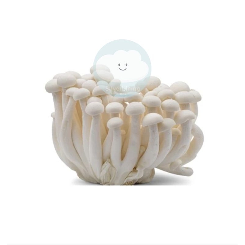Jual WHITE SHIMEJI MUSHROOM / JAMUR SHIMEJI PUTIH 150 GRAM Shopee Indonesia