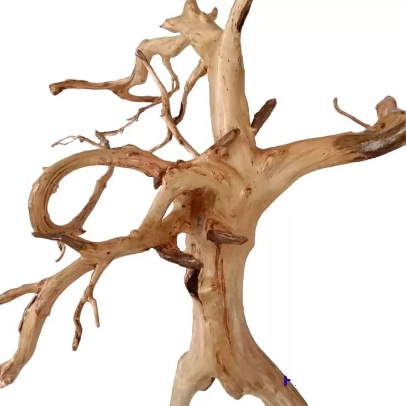 Jual KAYU RENTEK&AKAR RASAMALA aquascape | Shopee Indonesia