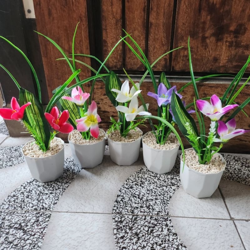Jual Bunga Lily Bintang Rumput + Pot | Shopee Indonesia