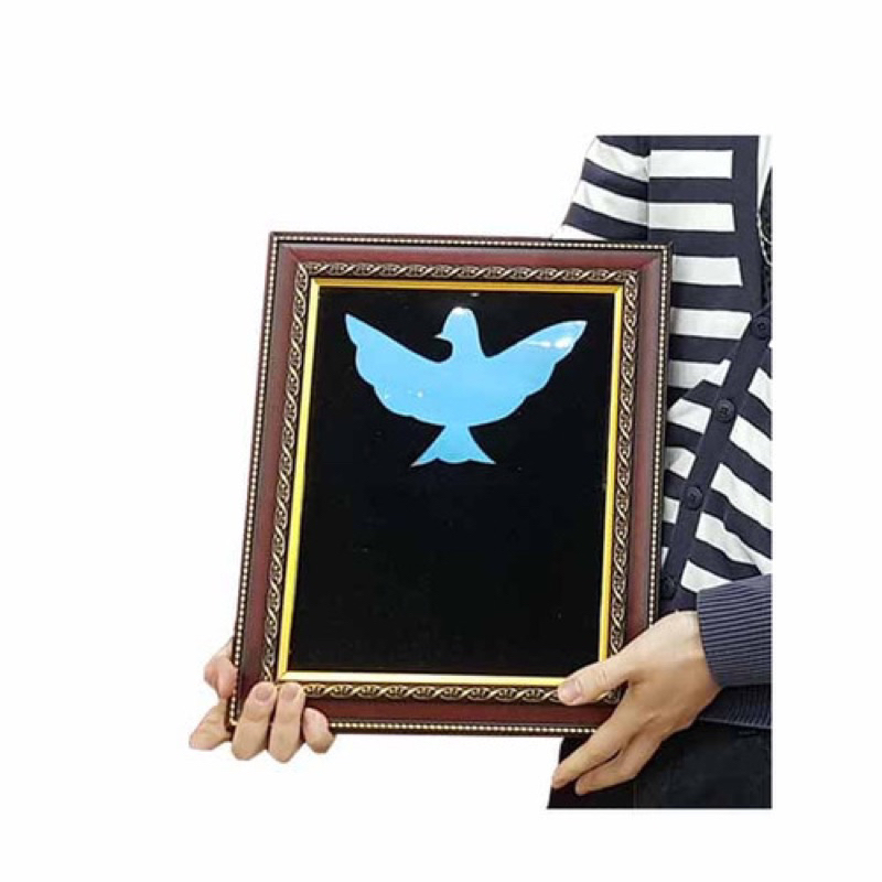 Jual Alat Sulap Color Change Dove Frame / Bingkai Burung Berubah Warna ...