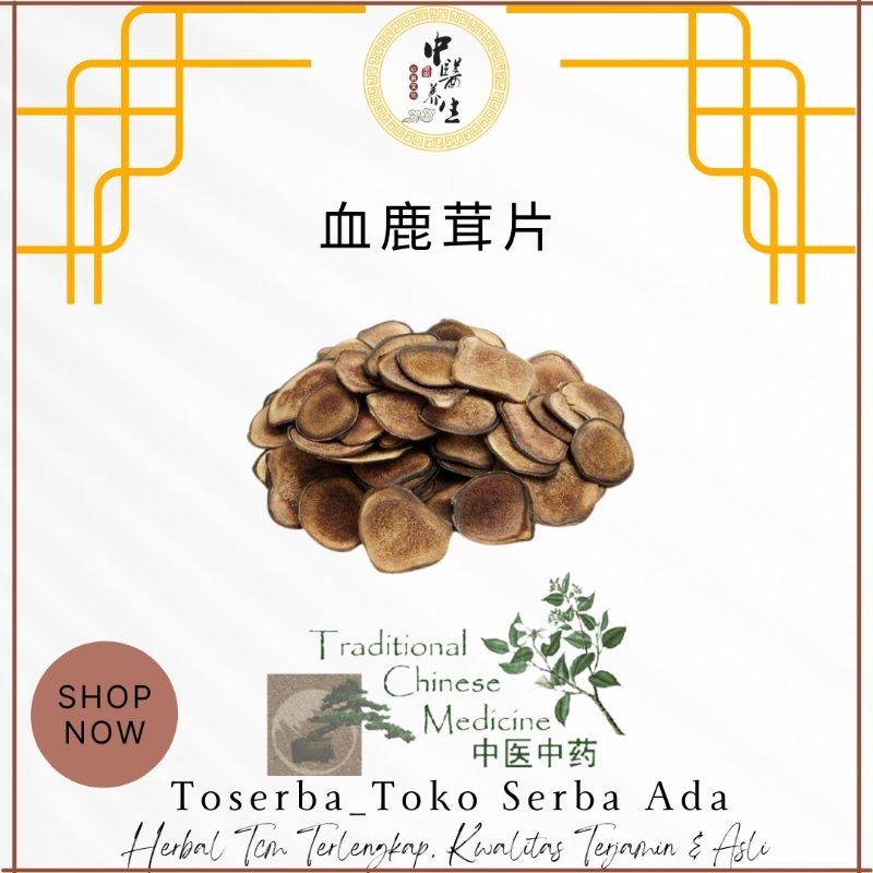 Jual 1 gr xue lu rong premium grade xue rong pian beludru darah tanduk ...