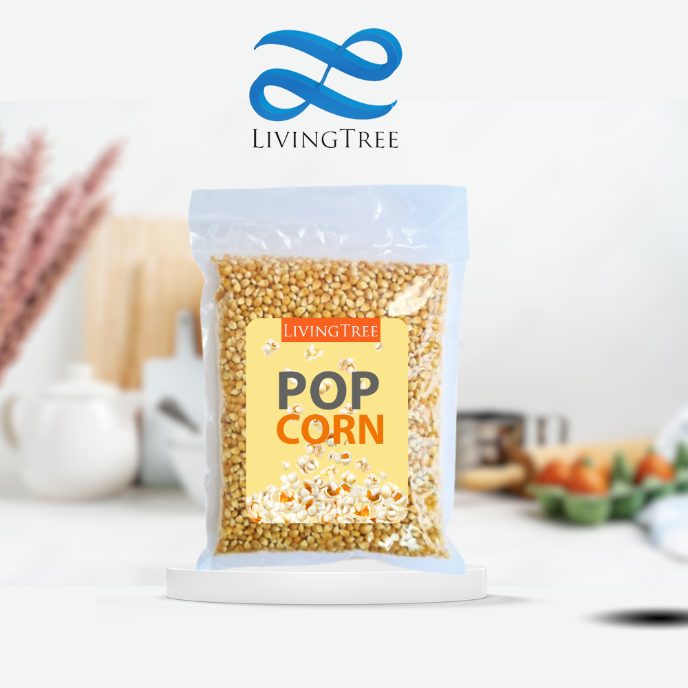 Jual Jagung Popcorn Mentah 1 Kg Biji Jagung Popcorn Shopee Indonesia 4405