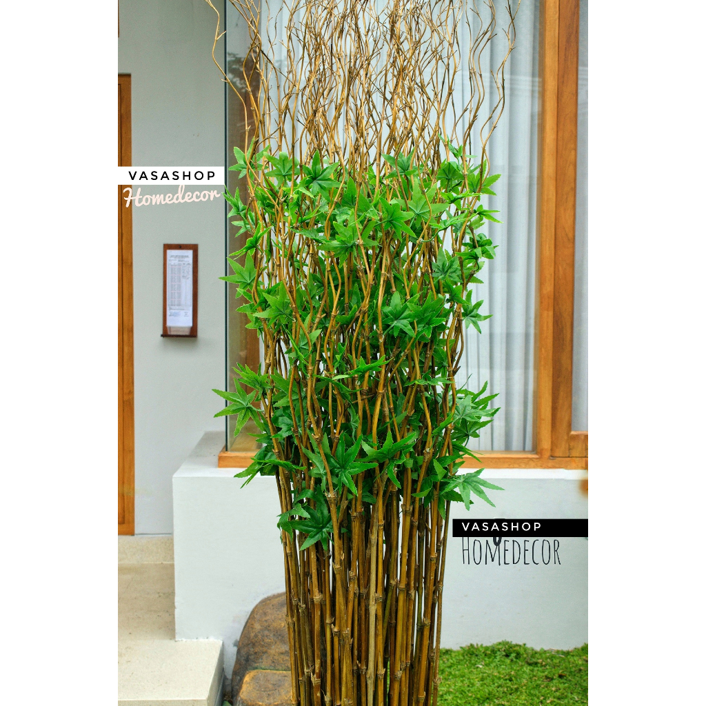 Jual bambu ulir hias 15 Btg Bambu Ulir Natural Maple Bintang Hijau ...